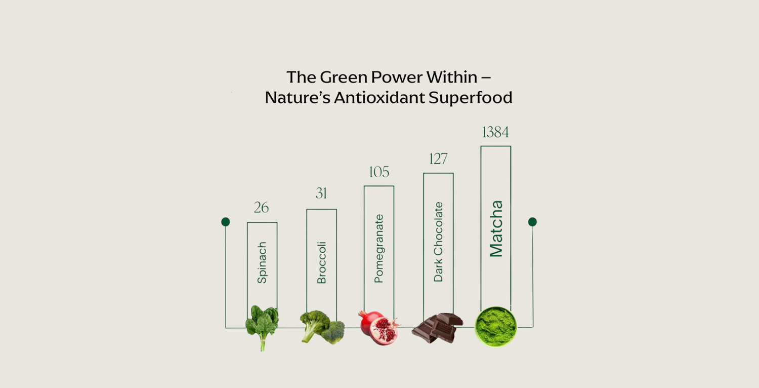 The Ultimate Antioxidant Showdown: Matcha vs Other Superfoods