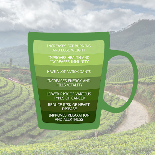 Why Matcha Time Is the Healthiest Ritual of Your Day